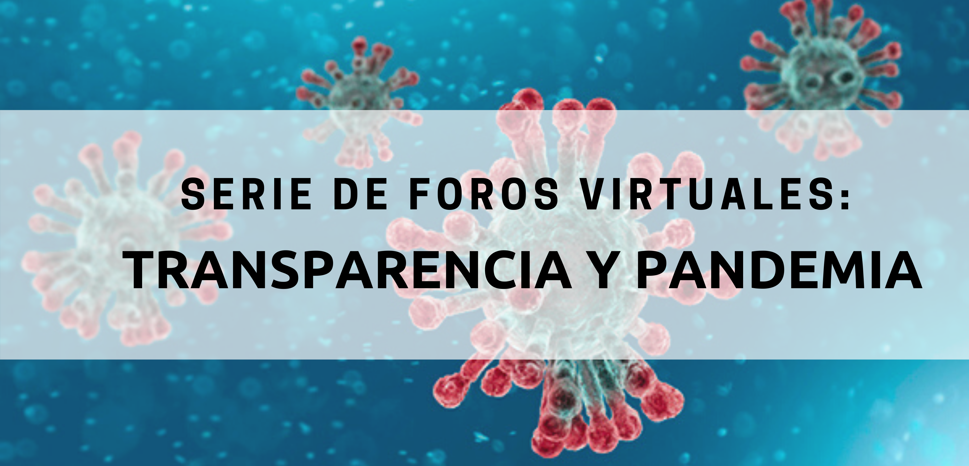 Serie de Foros Virtuales: Transparencia y Pandemia